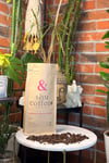 Intenso Espresso Blend (50% Arabica 50% Robusta) 1 kg Çekirdek Kahve
