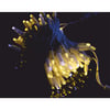 cata-10-mt-eklenebilir-100-ledli-dis-m-8bf929.png