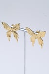Gold Renk Çelik Küpe / Model 116