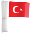 NORMAL ÇITALI KAĞIT BAYRAK 80 Lİ