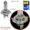 TAS Süperlight 12V H4 Ampul Halogen P43T 60/55W SL3305 (10 lu)