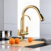 Fleko Dual Antik Gold Spiralli Arıtmalı Mutfak Bataryası (13320153)Fleko Dual Antik Gold Spiralli Arıtmalı Mutfak Bataryası (13320153)Armatür&BataryaFleko13320153 DUŞHOMEFleko Dual Antik Gold Spiralli Arıtmalı Mutfak Bataryası (13320153)