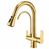 Fleko Dual Antik Gold Spiralli Arıtmalı Mutfak Bataryası (13320153)Fleko Dual Antik Gold Spiralli Arıtmalı Mutfak Bataryası (13320153)Armatür&BataryaFleko13320153 DUŞHOMEFleko Dual Antik Gold Spiralli Arıtmalı Mutfak Bataryası (13320153)