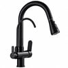 Fleko Dual Black Spırallı Arıtmalı Mutfak Bataryası (11480134)Fleko Dual Black Spiralli Arıtmalı Mutfak Bataryası (11480134)Armatür&BataryaFleko11480134DUŞHOMEFleko Dual Black Spırallı Arıtmalı Mutfak Bataryası (11480134)