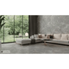 Seramiksan 60x120 Harmony Metropolis Açık Gri