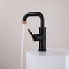 Wing Lavabo Bataryası Matt Black& Rose GoldWing Lavabo Bataryası Matt Black & Rose Gold | Siyah ve Rose Gold Banyo BataryasıArmatür&BataryaMase ModeLBMS0031DUŞHOMEWing Lavabo Bataryası Matt Black& Rose Gold