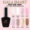 GALA SMART - FAST GEL 15 ml - NO:6