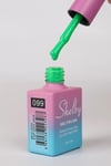 SHELBY 10 ML. A099 KALICI OJE