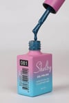 SHELBY 10 ML. A081 KALICI OJE