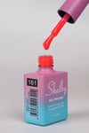 SHELBY 10 ML. A161 KALICI OJE