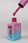 SHELBY 10 ML. A181 KALICI OJE