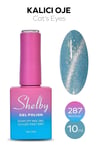 SHELBY 10 ML. A287 DİSCO & KEDİ GÖZÜ KALICI OJE