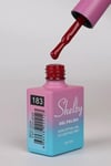 SHELBY 10 ML. A183 KALICI OJE