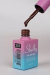 SHELBY 10 ML. A207 KALICI OJE