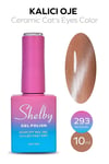 SHELBY 10 ML. A293 SERAMİK KEDİ GÖZÜ KALICI OJE
