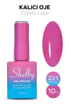SHELBY 10 ML. A221 CANDY KALICI OJE