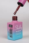 SHELBY 10 ML. A281 KEDİ GÖZÜ KALICI OJE