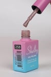 SHELBY 10 ML. A258 DİSKO KALICI OJE