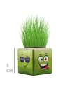 ÇİMOJİ KÜP ÇİM ADAM 32 Lİ