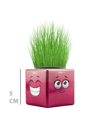 ÇİMOJİ KÜP ÇİM ADAM 32 Lİ
