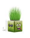 ÇİMOJİ KÜP ÇİM ADAM 32 Lİ