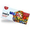FENİX GUAJ BOYA 12Lİ 9ML. TÜP *72