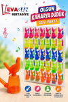 OLGUN KANARYA DÜDÜK PK:35 Lİ
