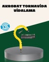 12 Parça Akrobat Bits Seti Çok Amaçlı Vidalama Dayanıklı Çelik
