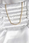 14K Gold Renk Kaplama Model CM Kadın Kolye