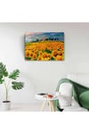Ayçiçek Tarlası Canvas Tablo (50x70)