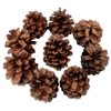Dekoratif Çam Kozalak Süs - 250gr -