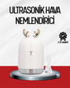 El Tipi USB Mini Soğuk Mist Nemlendirici 220 ml Tank