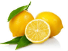 Limon Bonesi / 50 Adet / Bitki Çayı Bonesi