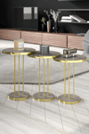 ORTA SEHPA VE ZİGON SEHPA TERRA SET GOLD GORDİON