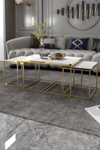 Orta Sehpa Ve Zigon Yan Sehpa Flora Set Gold Beyaz