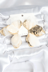 Pirinç Gold Renk Beyaz Tüllü Lotus Kadın Küpe