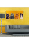 Yavru Kediler Canvas Tablo (60x120)