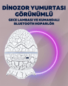 Yıldız Gökyüzü Efektli Çok Modlu Gece Işığı