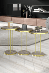 ZİGON SEHPA TERRA GOLD GORDİON