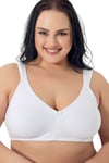SÜTYEN C CUP K KADIN 5045