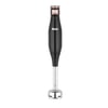 Fakir Stor Stıck Blender 