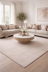 By Özer Halı Bej Renk Bej Desenli Modern Stil Artemis Halı Samoa 02964A Salon Halısı