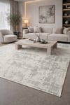 By Özer Halı Gri Renk Modern Stil Armoni Silver Platinum AP00B Salon Halısı
