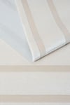 By Özer Halı Krem Renk Bej Bordürlü Modern Stil Koza Halı Lara A0251A Salon Halısı