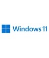 Windows 11 Professional Türkçe