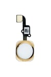 İPHONE 6S PLUS HOME TUŞ-PARMAK İZİ FLEX GOLD