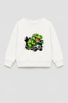 Erkek Çocuk 3 İplik Kumaş Dinozor Baskılı Pamuklu Sweatshirt