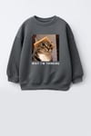 Erkek Çocuk 3 İplik Kumaş Kedi Baskılı Pamuklu Sweatshirt