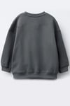 Erkek Çocuk 3 İplik Kumaş Kedi Baskılı Pamuklu Sweatshirt
