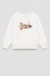 Erkek Çocuk 3 İplik Kumaş Pamuklu Uçak Baskılı Sweatshirt